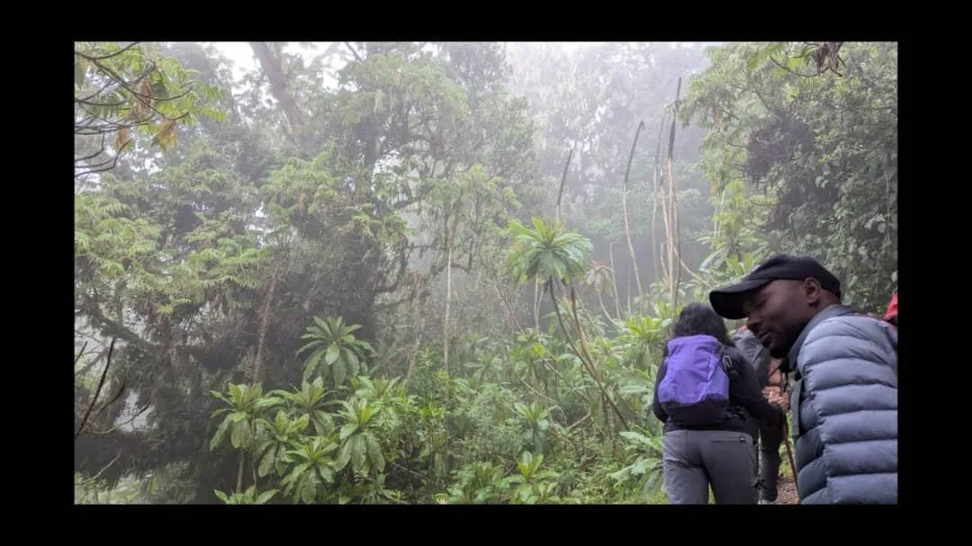 Mount Kilimanjaro trekking landscape